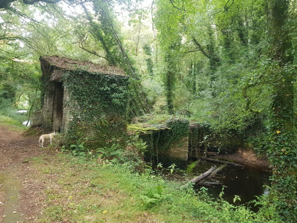 La Casa Del Tio Antonio Villa Taboy Bagian luar foto